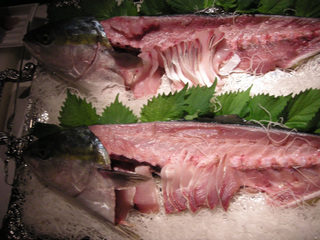 DSCN7172.jpg