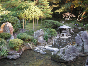 DSCN6948_s.jpg
